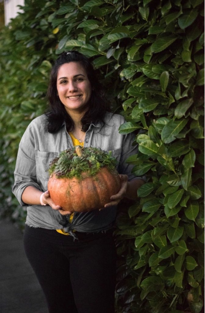 pumpkin-season-wheat-brothers-farms